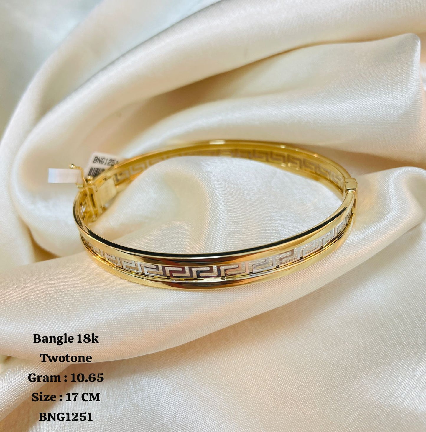 BNG1251