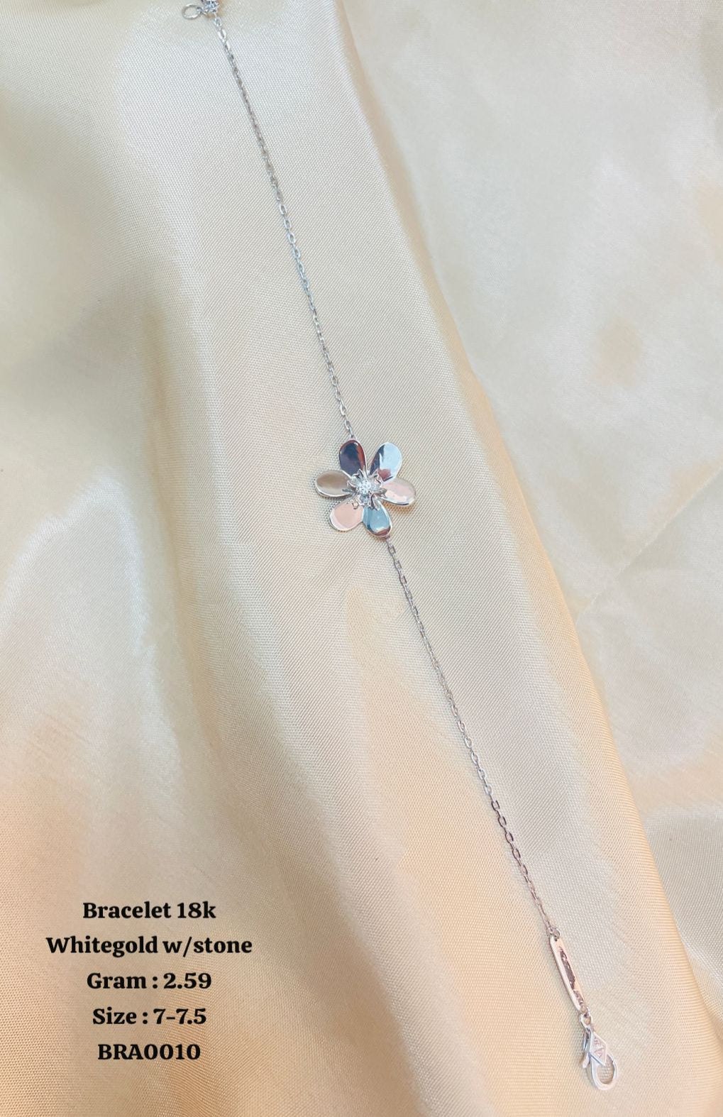 BRA0010
