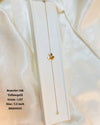 BRA0053