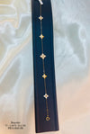 BRA0858