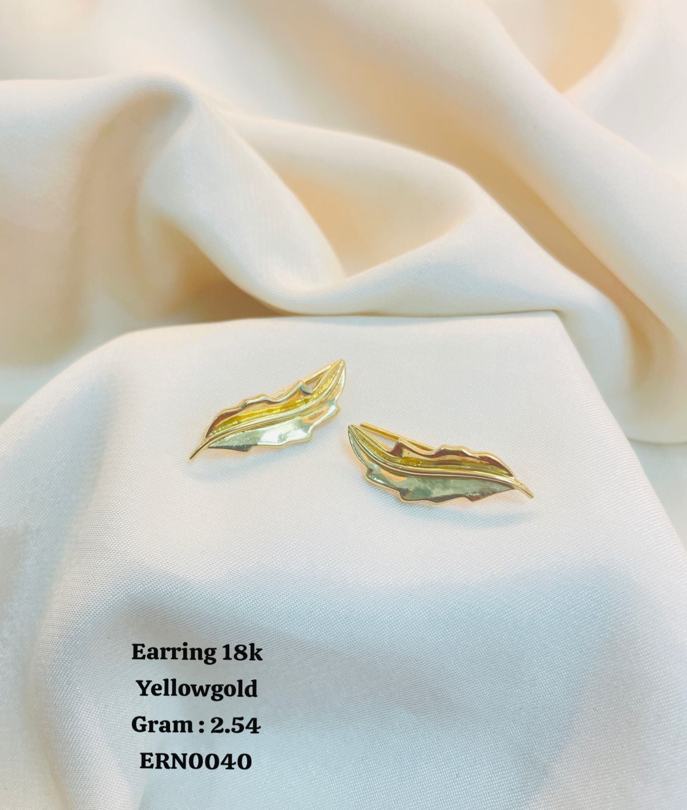 ERN0040