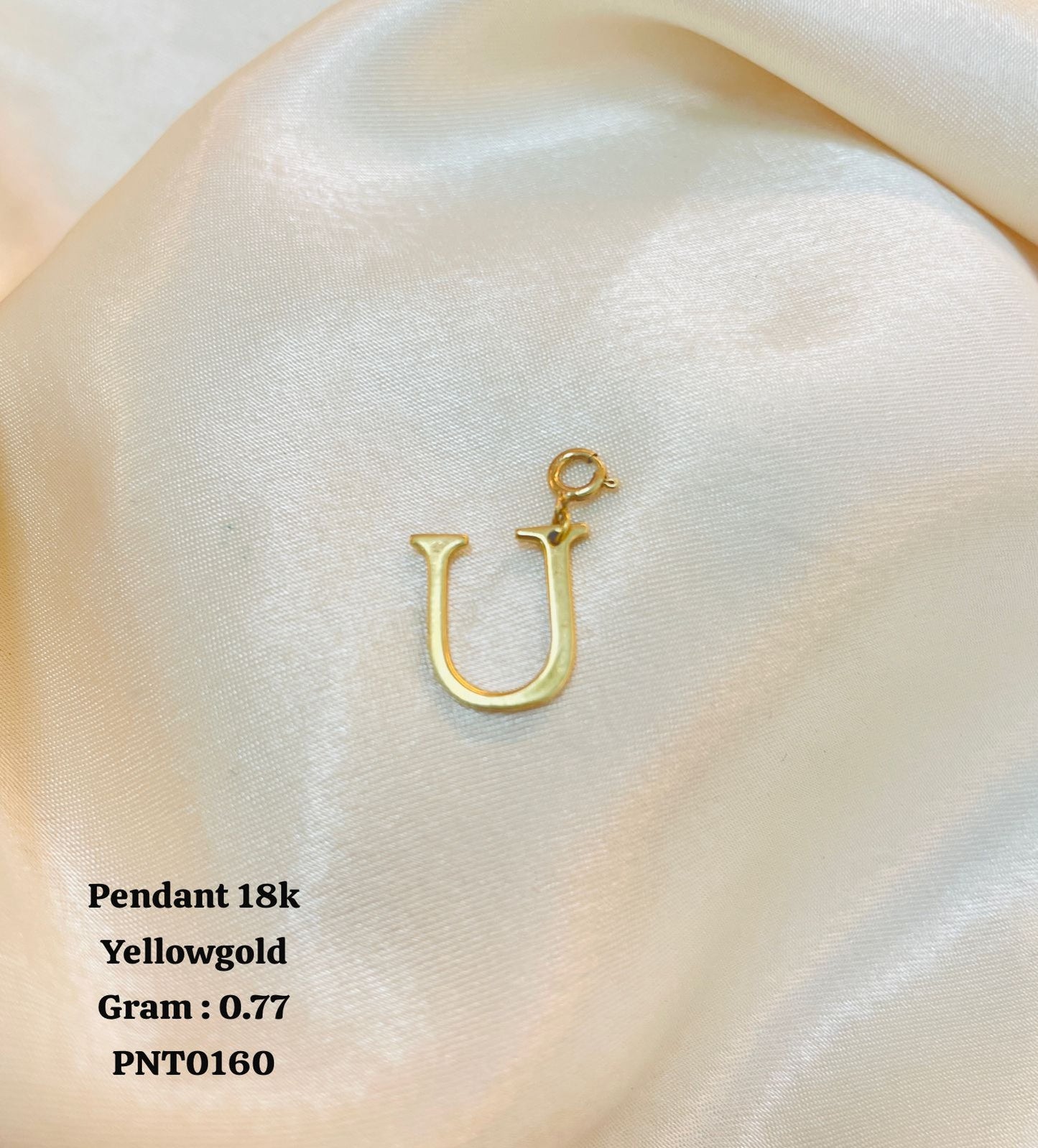 PNT0160