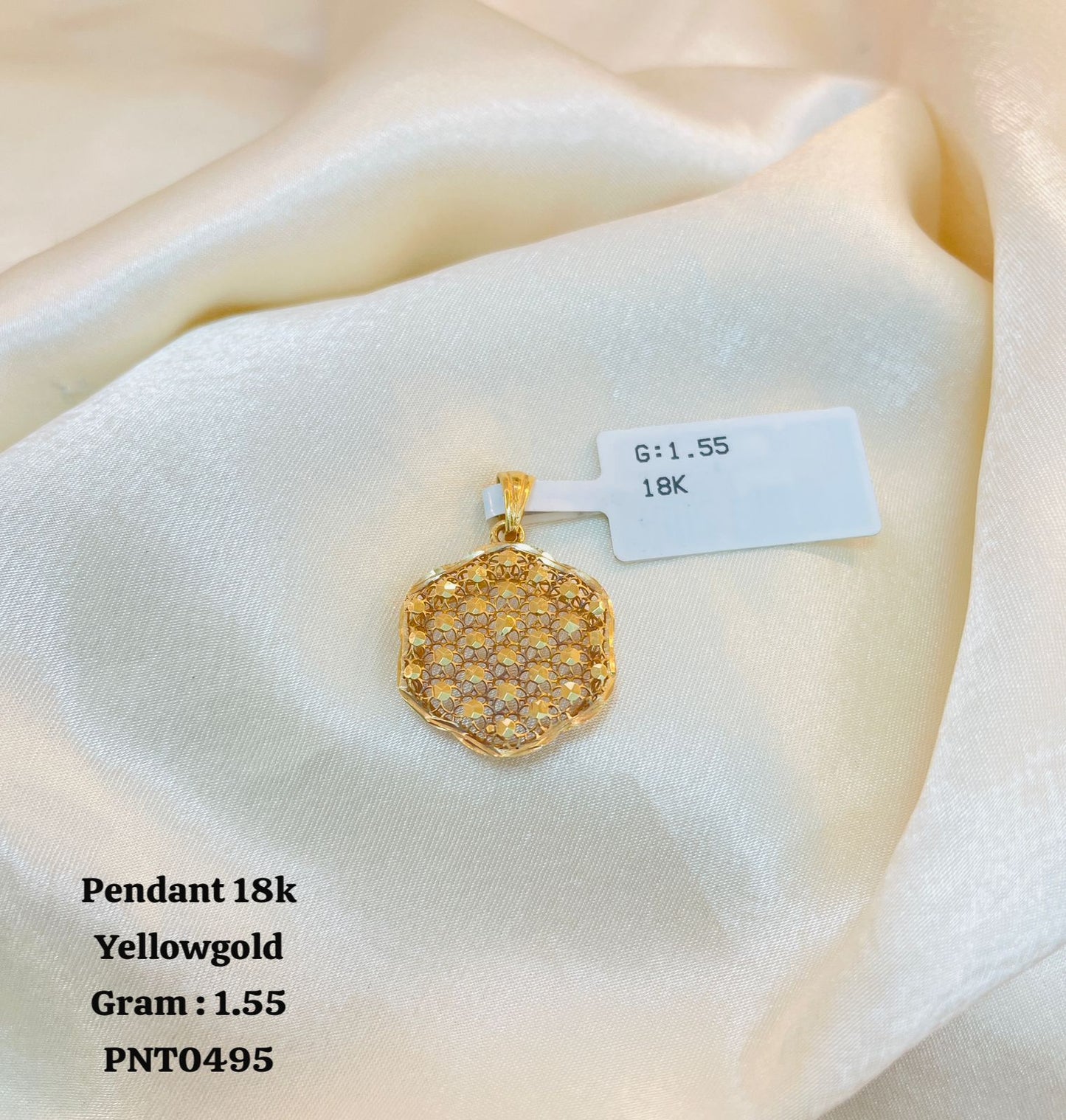 PNT0495