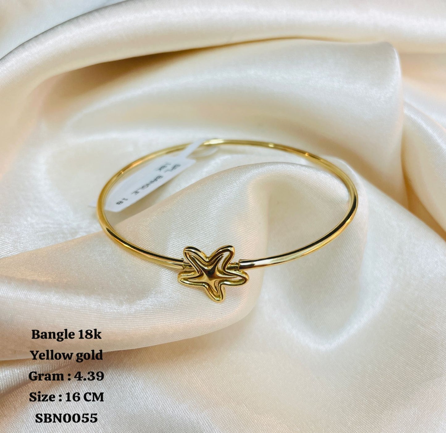 SBN0055