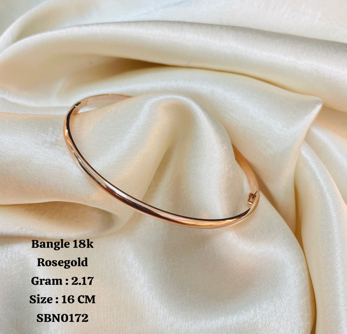SBN0172