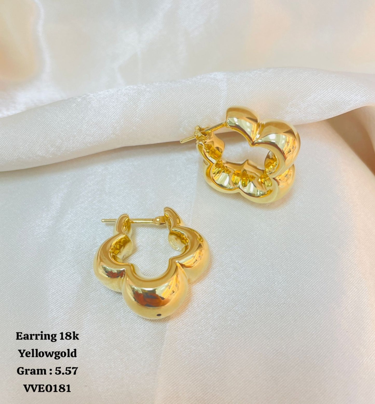 VVE0181