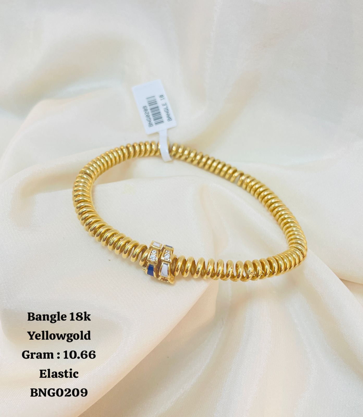 BNG0209