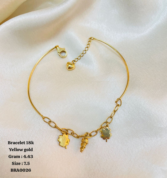 BRA0026