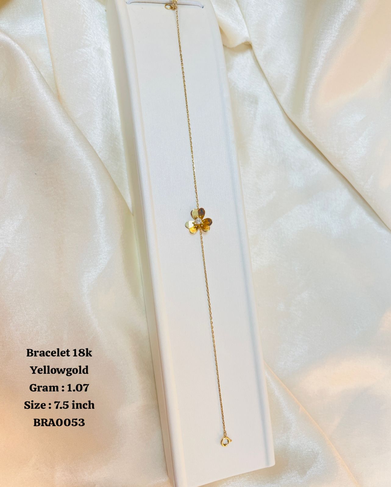 BRA0053