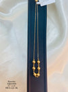 BRA0236