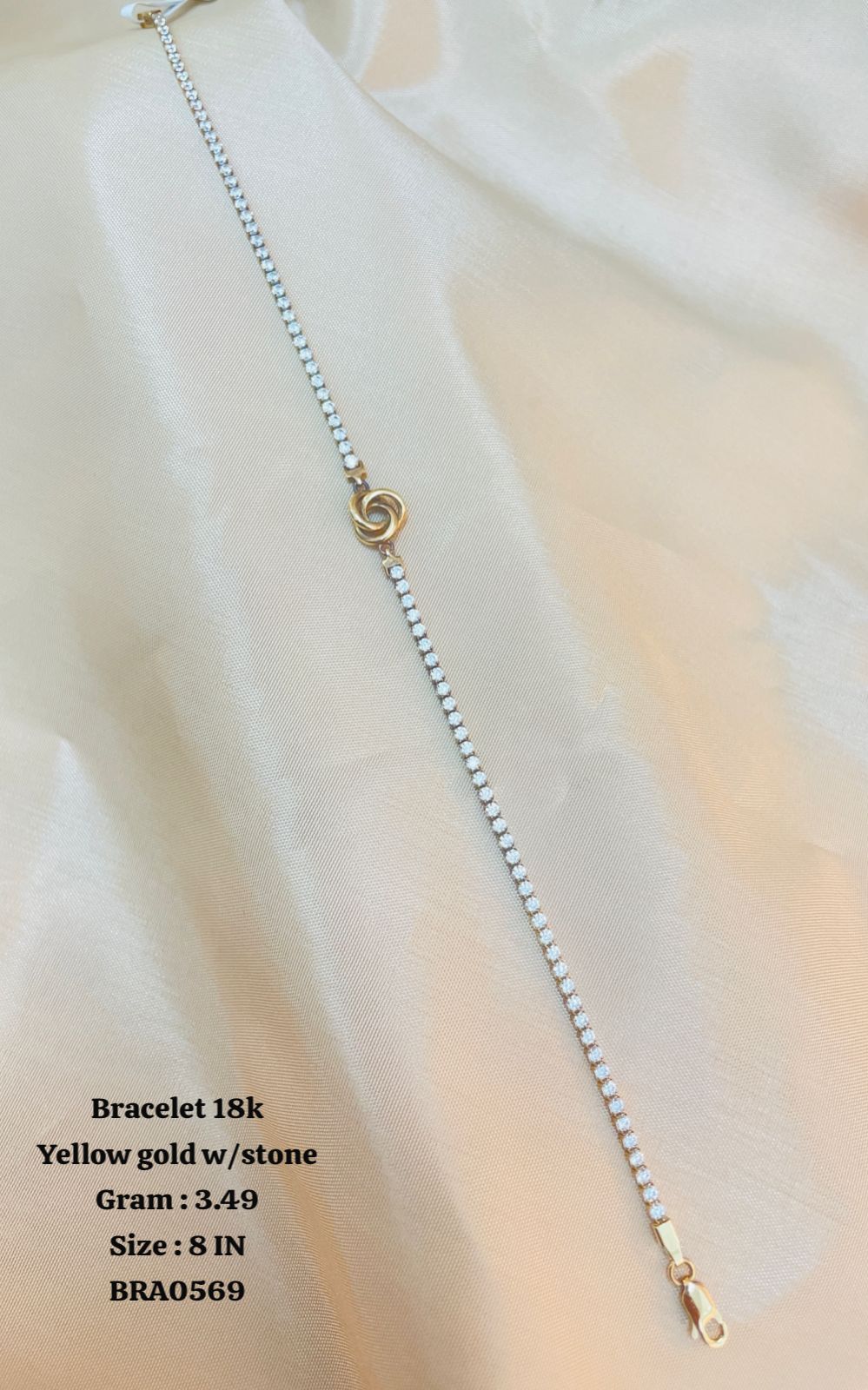 BRA0569