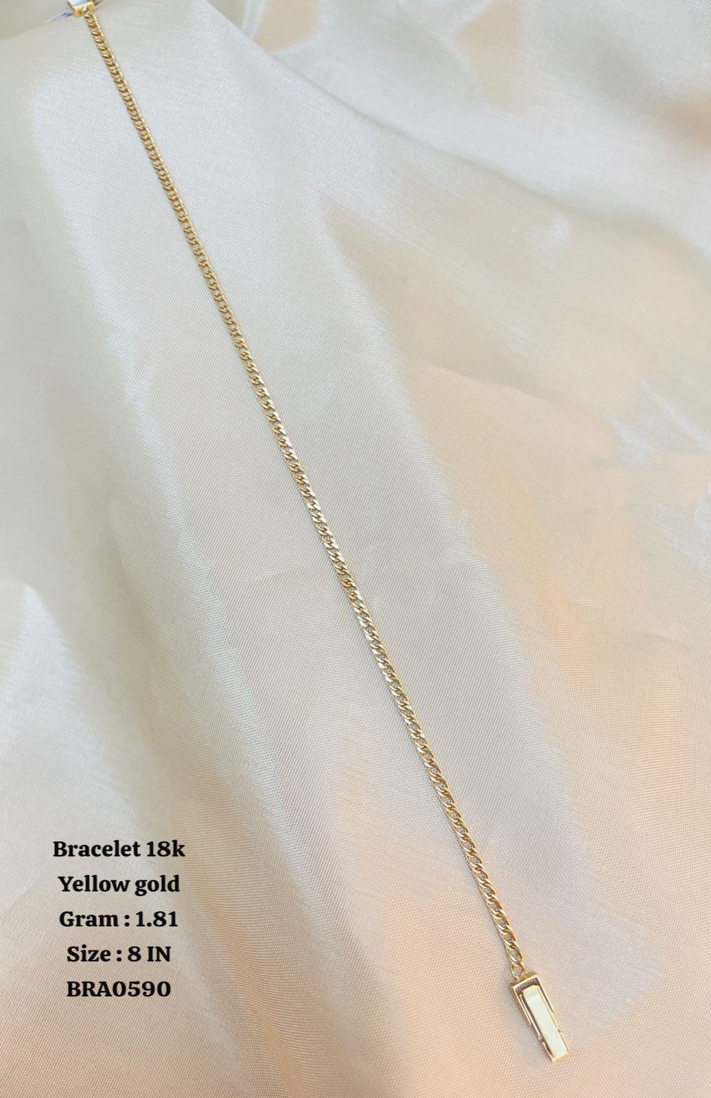 BRA0590
