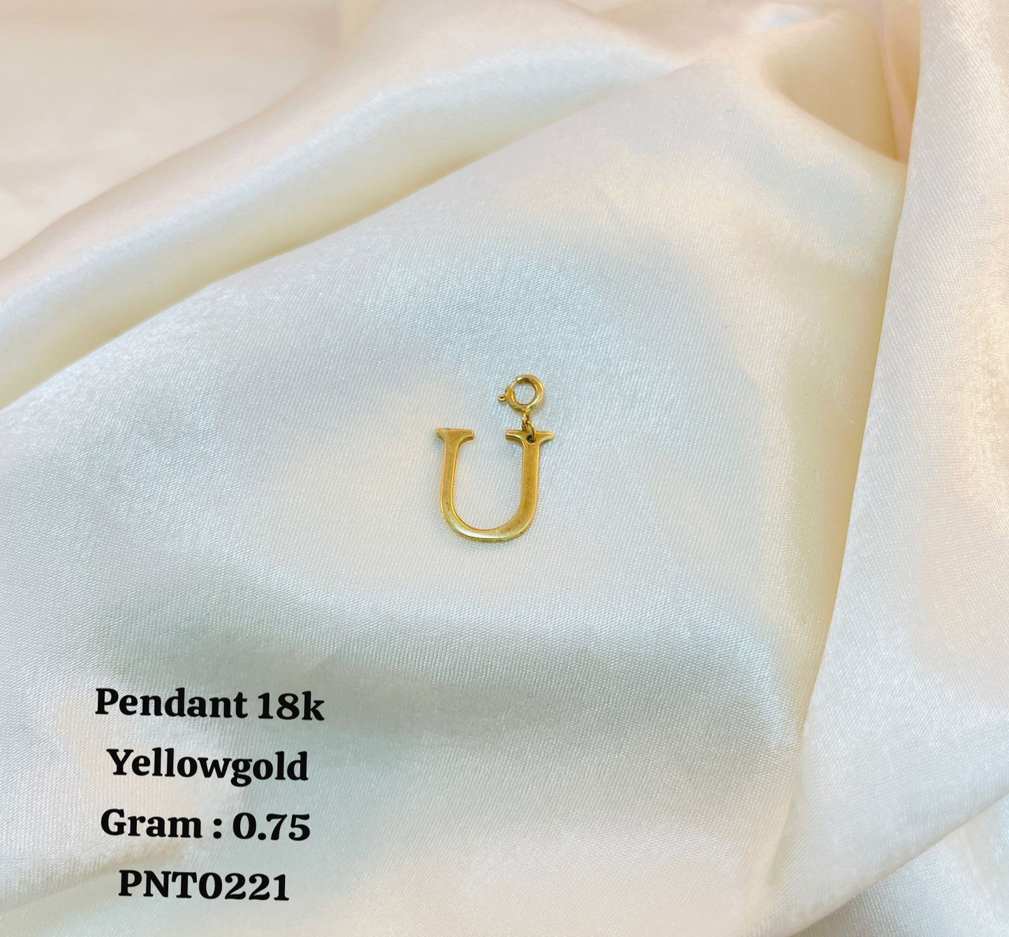 PNT0221