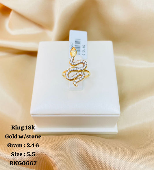 RNG0667