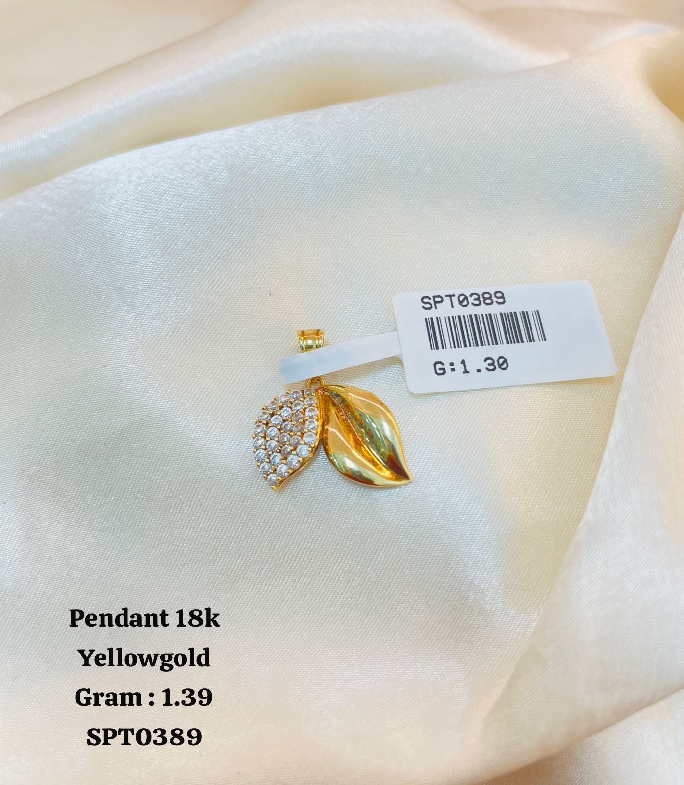 SPT0389