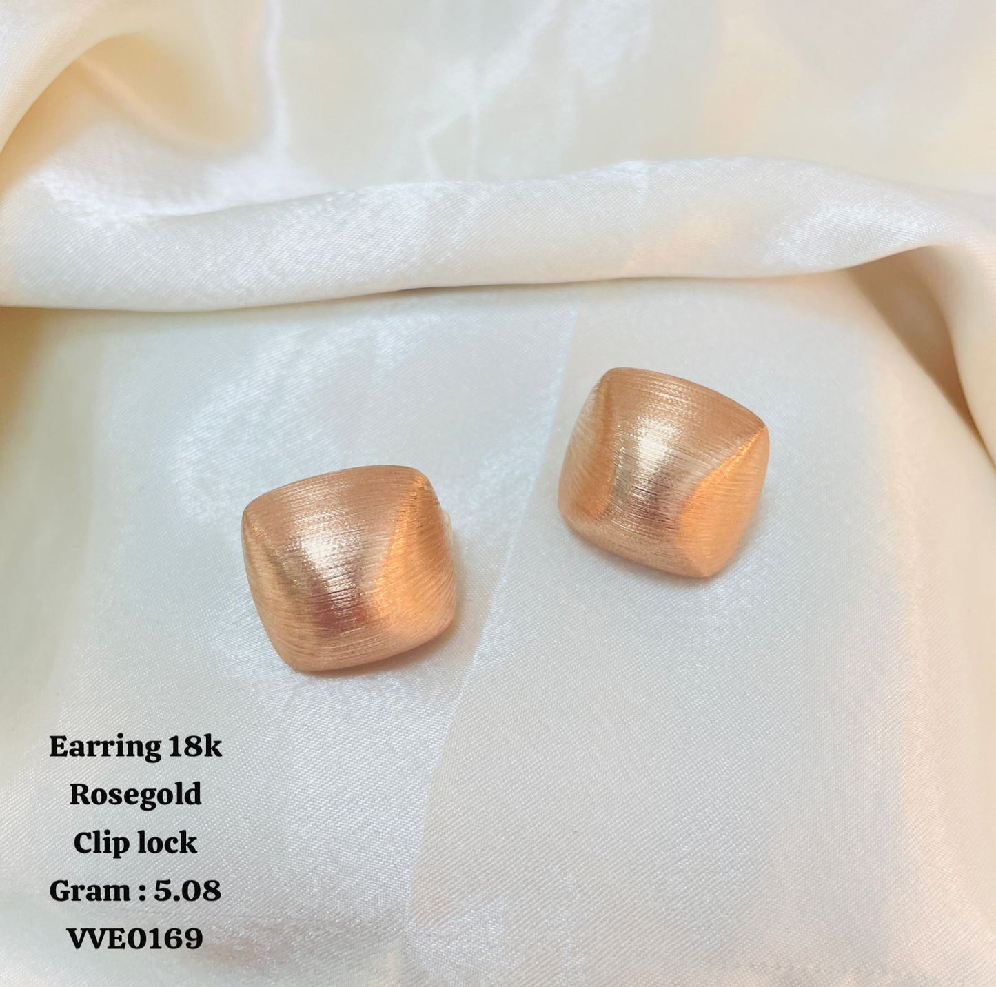 VVE0169